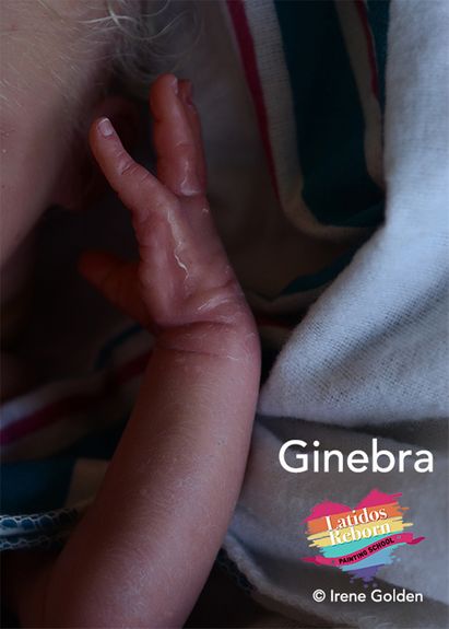 16 GINEBRA logo