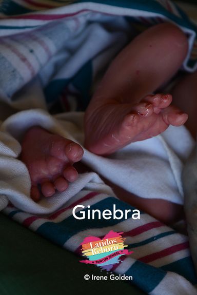 17 GINEBRA logo