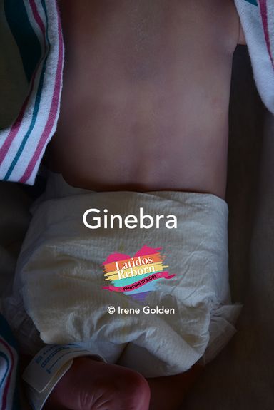18 GINEBRA logo